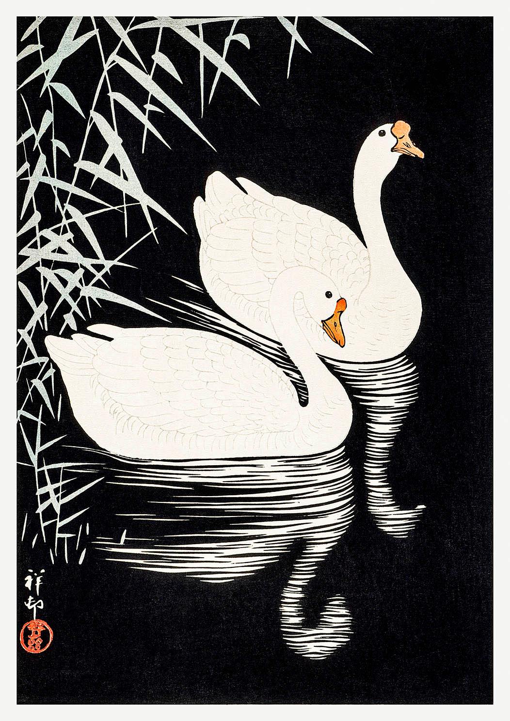 WHITE GEESE ART PRINT: Vintage Chinese Birds Illustration - Pimlico Prints