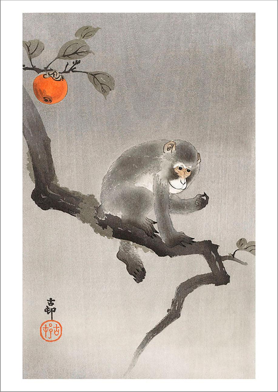 MONKEY IN COCKATOO PRINT: Vintage Japanese Art Illustration by Ohara Koson - Pimlico Prints