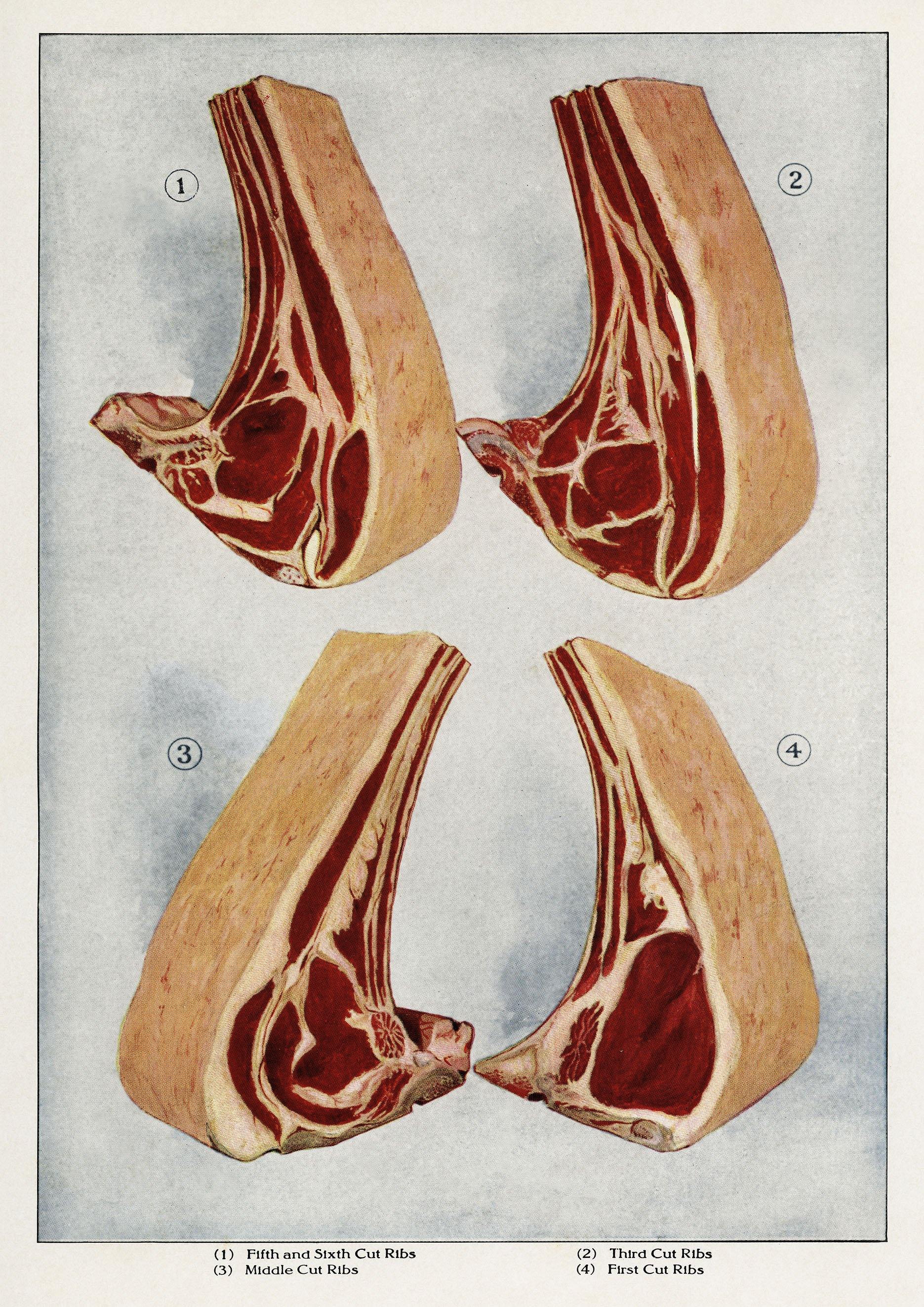 BUTCHER POSTERS: Grocer's Encylopedia Sausage and Steaks Meat Art Prints - Pimlico Prints