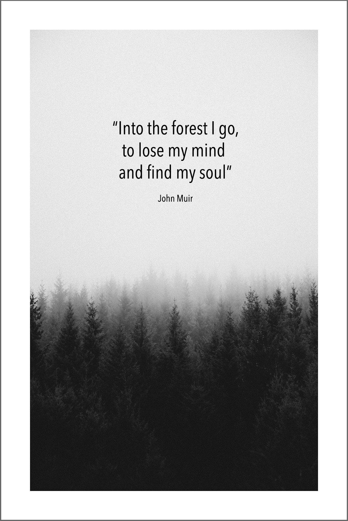 JOHN MUIR QUOTE: Into the Forest I Go Art Print - Pimlico Prints