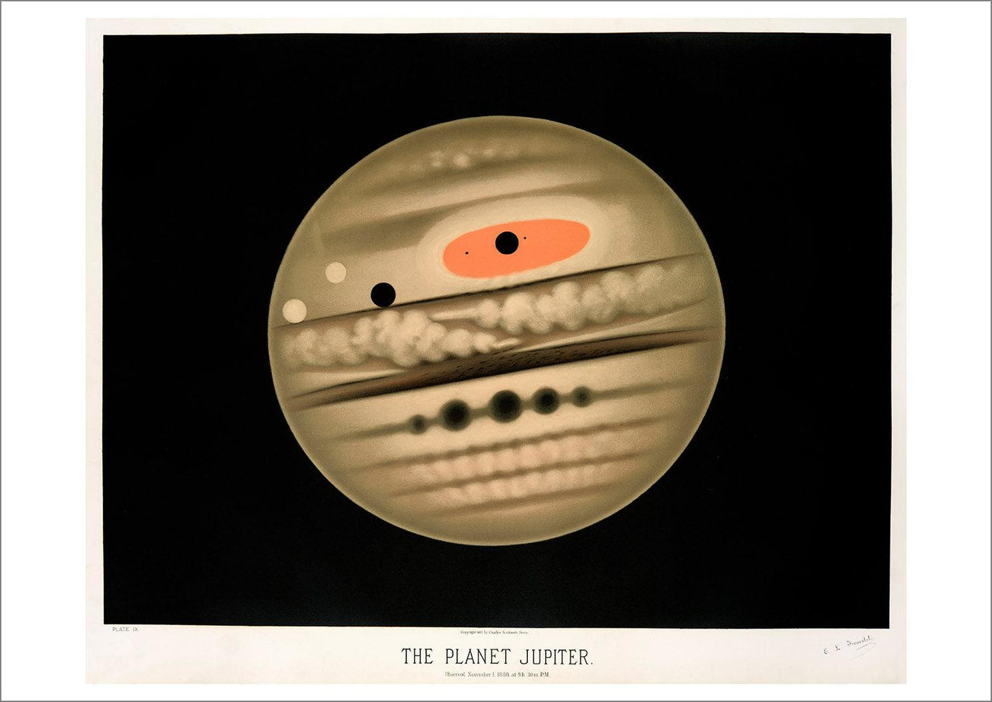 JUPITER ART PRINT: Vintage Planet Illustration - Pimlico Prints