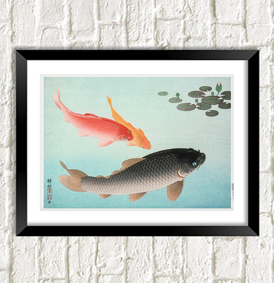 KOI CARP PRINT: Vintage Japanese Fish Illustration by Ohara Koson - Pimlico Prints