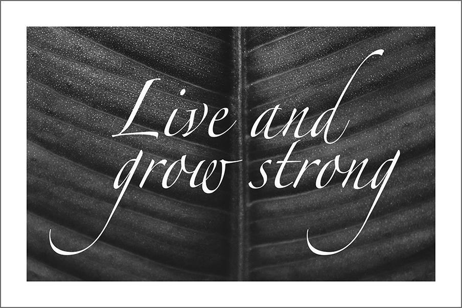 LIVE AND GROW STRONG: Inspirational Poster Art - Pimlico Prints