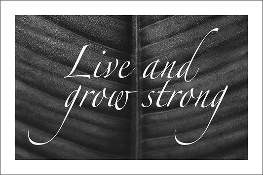 LIVE AND GROW STRONG: Inspirational Poster Art - Pimlico Prints