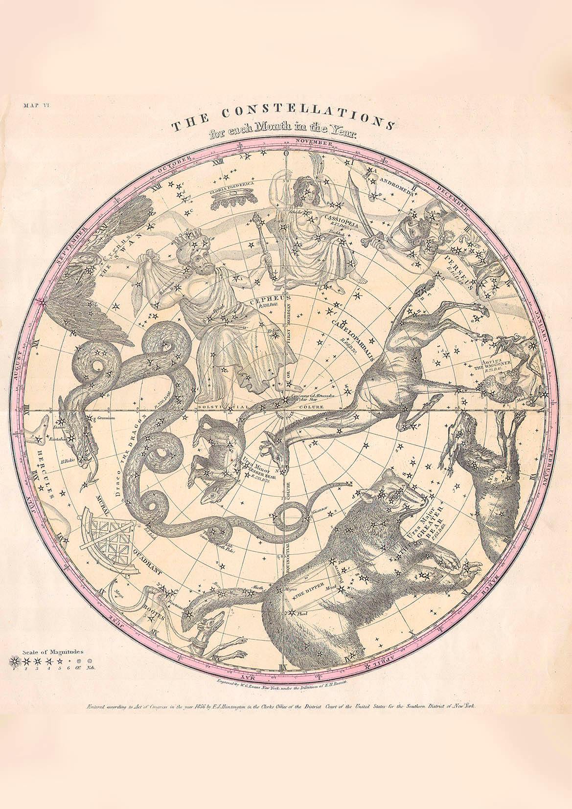 THE CONSTELLATIONS PRINT: Star Globe Map Art - Pimlico Prints