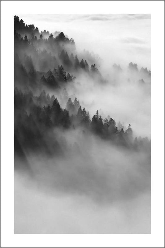 MISTY FOREST PRINT: Black and White Wall Art - Pimlico Prints
