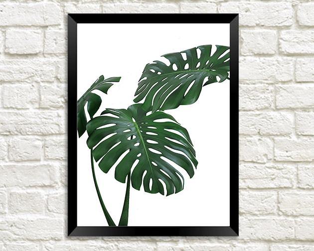 MONSTERA PRINT: Green Tropical Plant Photo Poster - Pimlico Prints