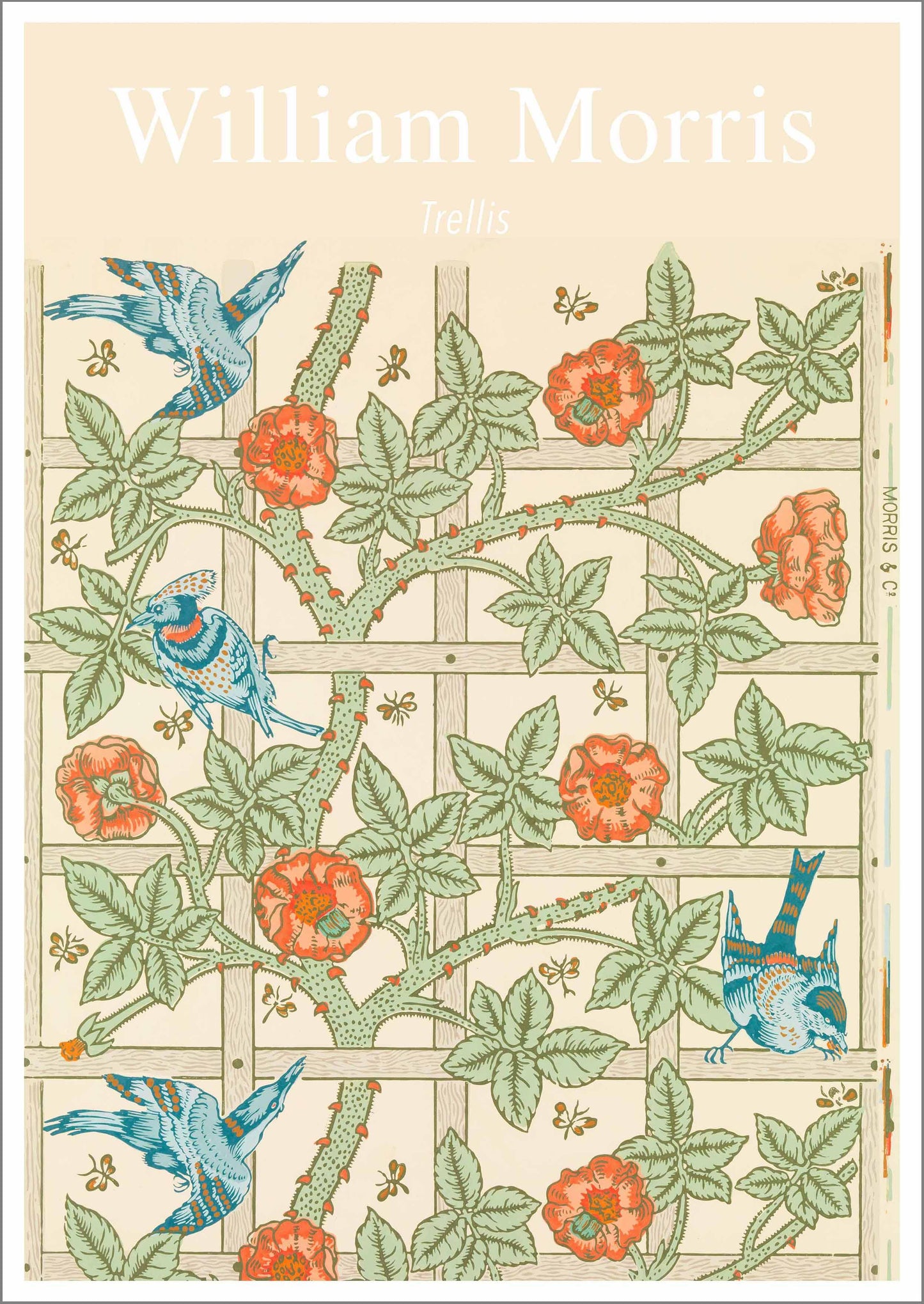WILLIAM MORRIS ART PRINT: Trellis Pattern Design Artwork - Pimlico Prints