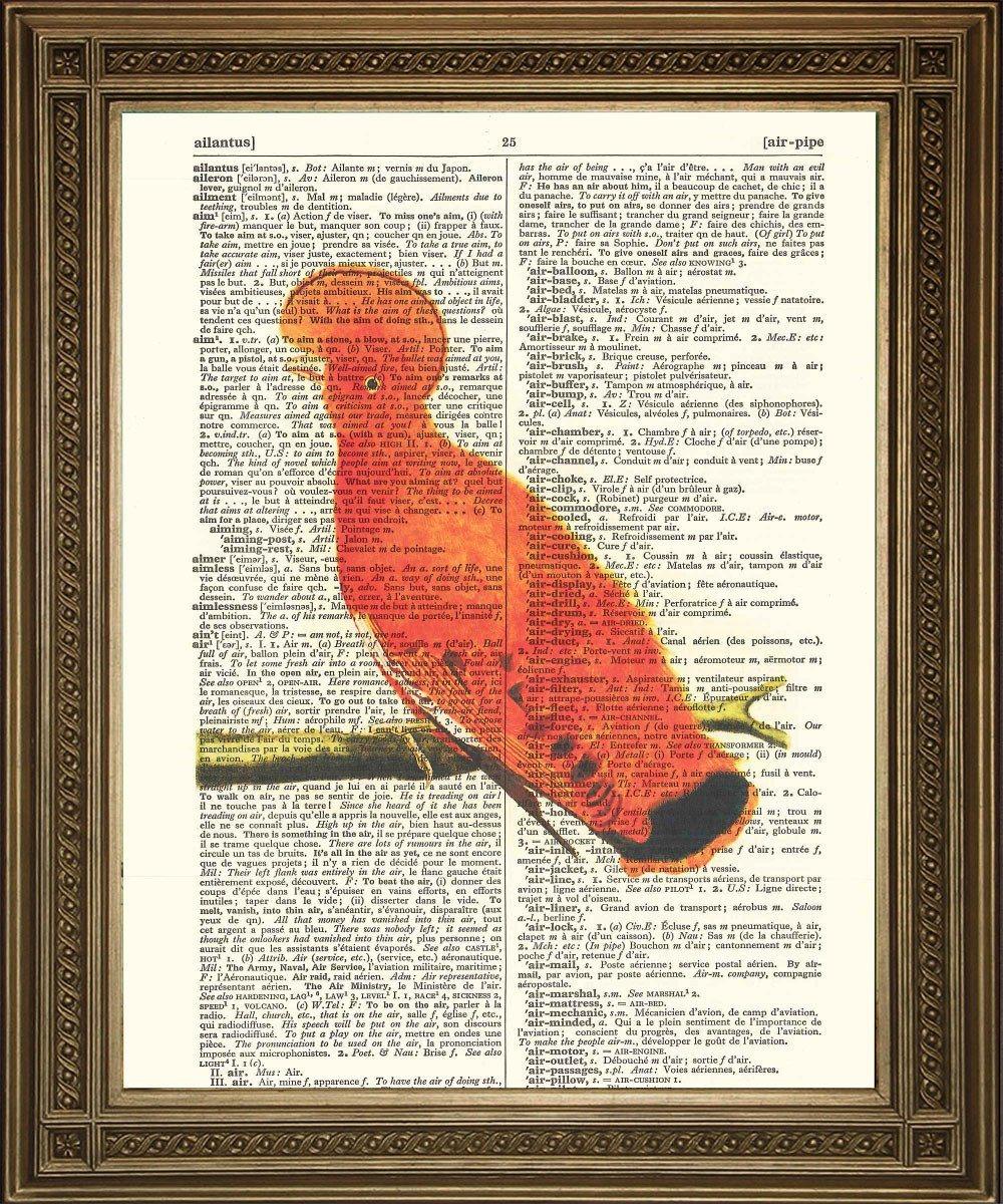 ORANGE BIRD: Dictionary Art Print - Pimlico Prints