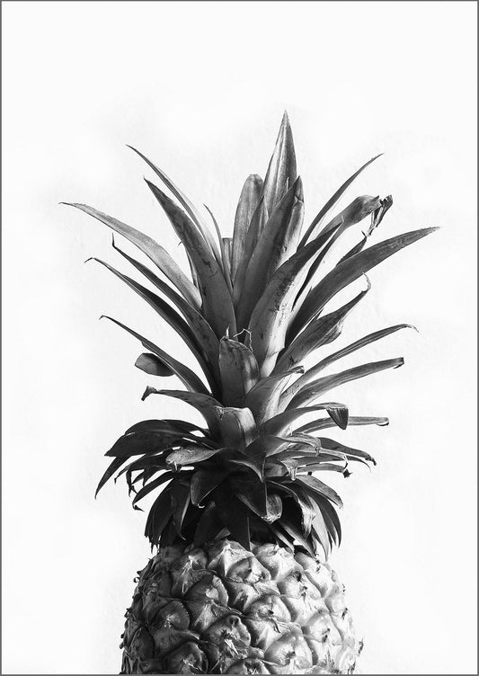 PINEAPPLE PRINT: Black and White Photography Art - Pimlico Prints