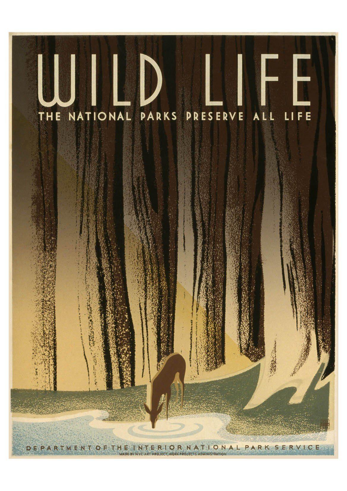 WILD LIFE POSTER: Vintage National Parks Travel Advert - Pimlico Prints