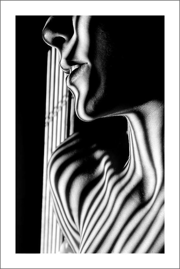 SHADED NUDE PRINT: Female Body Photo Art - Pimlico Prints