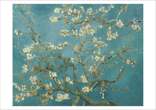VINCENT VAN GOGH: Almond Blossom, Fine Art Print - Pimlico Prints