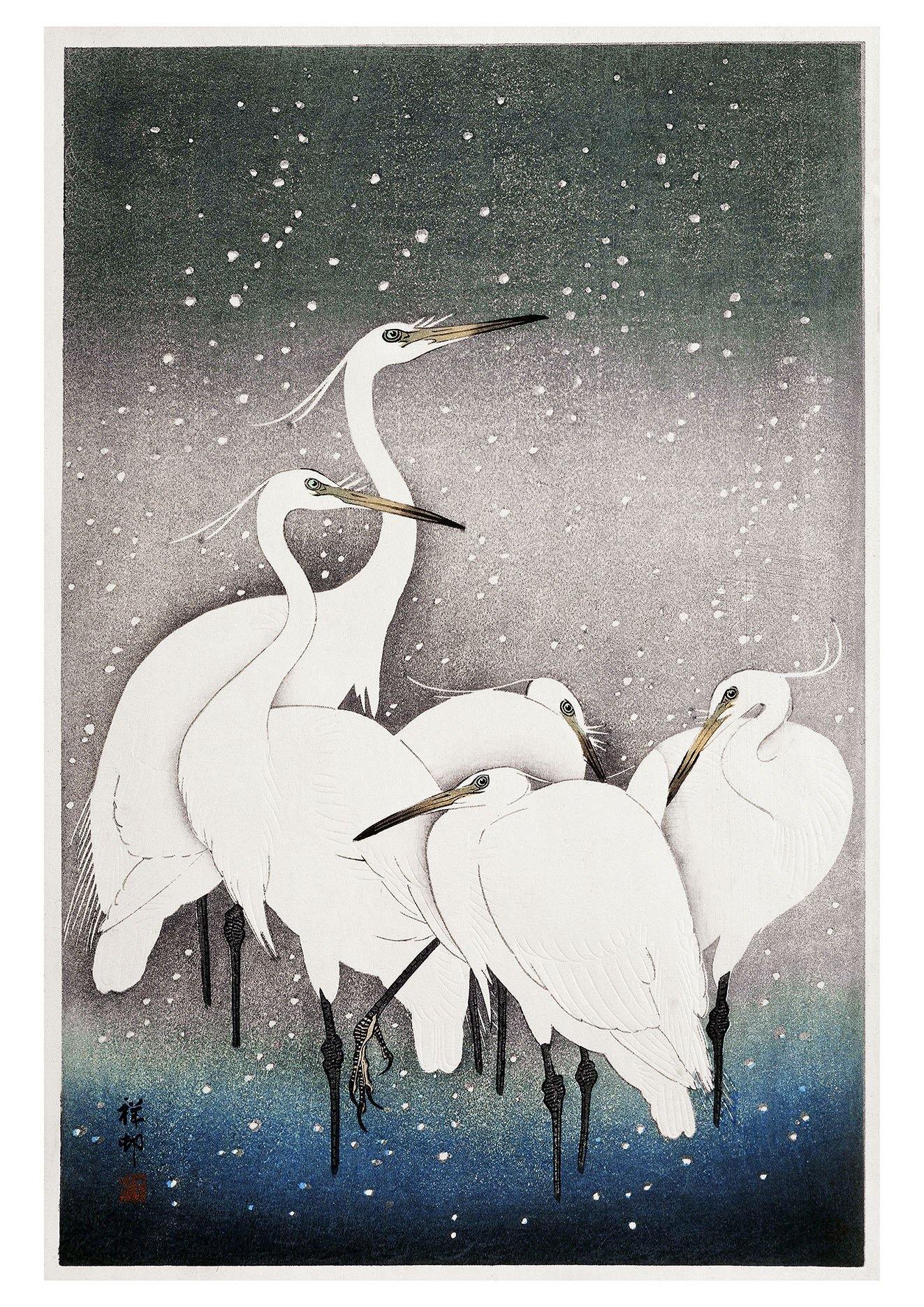 EGRETS ART PRINT: Vintage White Birds Illustration by Ohara Koson - Pimlico Prints