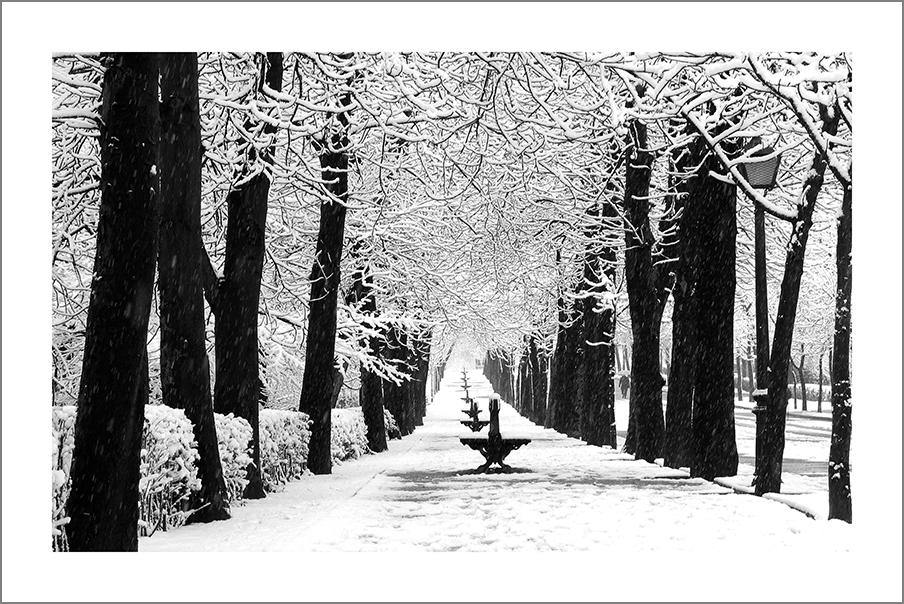 PARK IN WINTER: Snow Art Photography Poster - Pimlico Prints