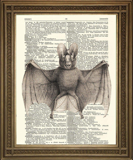 BAT DICTIONARY ART Print: Vampire Bat Vintage Illustration - Pimlico Prints