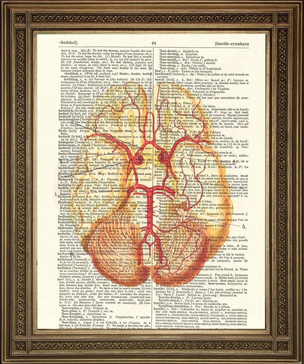 BRAIN DICTIONARY ART: 'Anatomical Brain' Vintage Print - Pimlico Prints