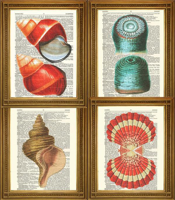 SEA SHELL PRINTS: Dictionary Page Art Selection - Pimlico Prints