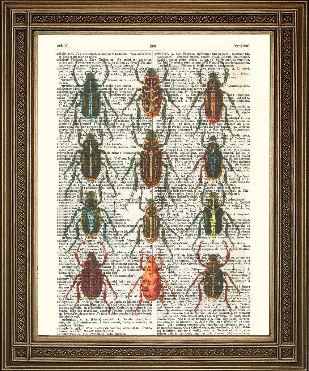 BUGS INSECT ART: Vintage Dictionary Page Print - Pimlico Prints