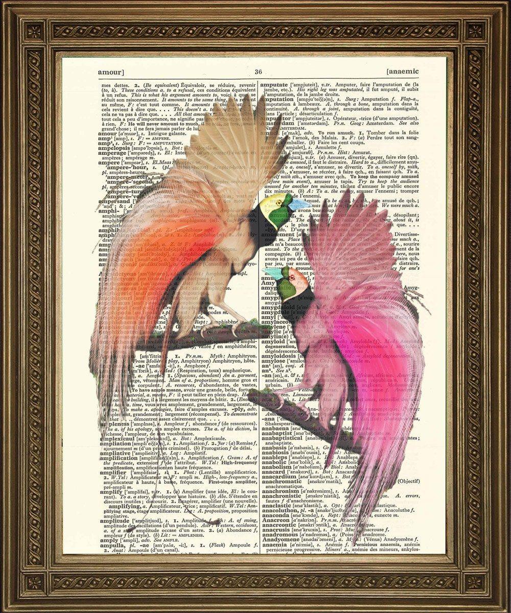 BIRDS OF PARADISE: Vintage Dictionary Book Page Art - Pimlico Prints