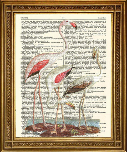PINK FLAMINGO BIRDS PRINT: Dictionary Art Wall Decor - Pimlico Prints