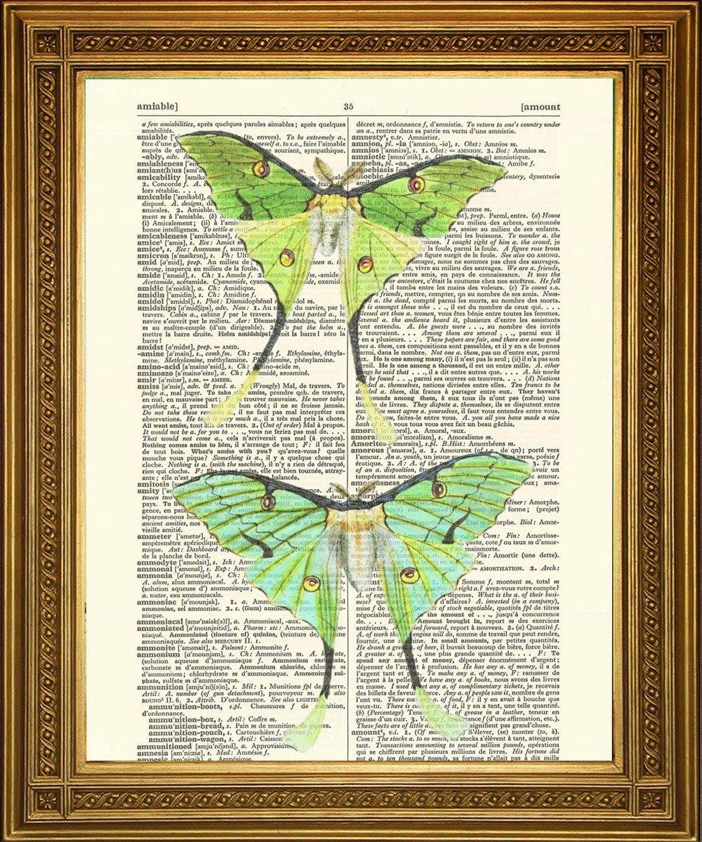 GREEN LUNA MOTH ART: Moon Moths Vintage Dictionary Page Print - Pimlico Prints