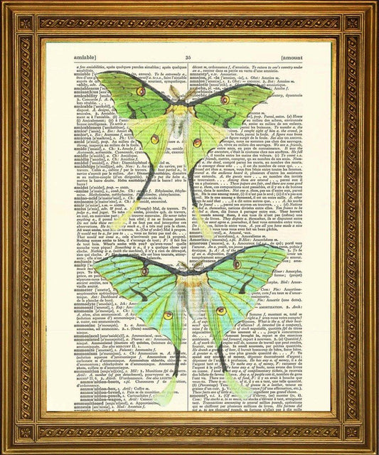 GREEN LUNA MOTH ART: Moon Moths Vintage Dictionary Page Print - Pimlico Prints