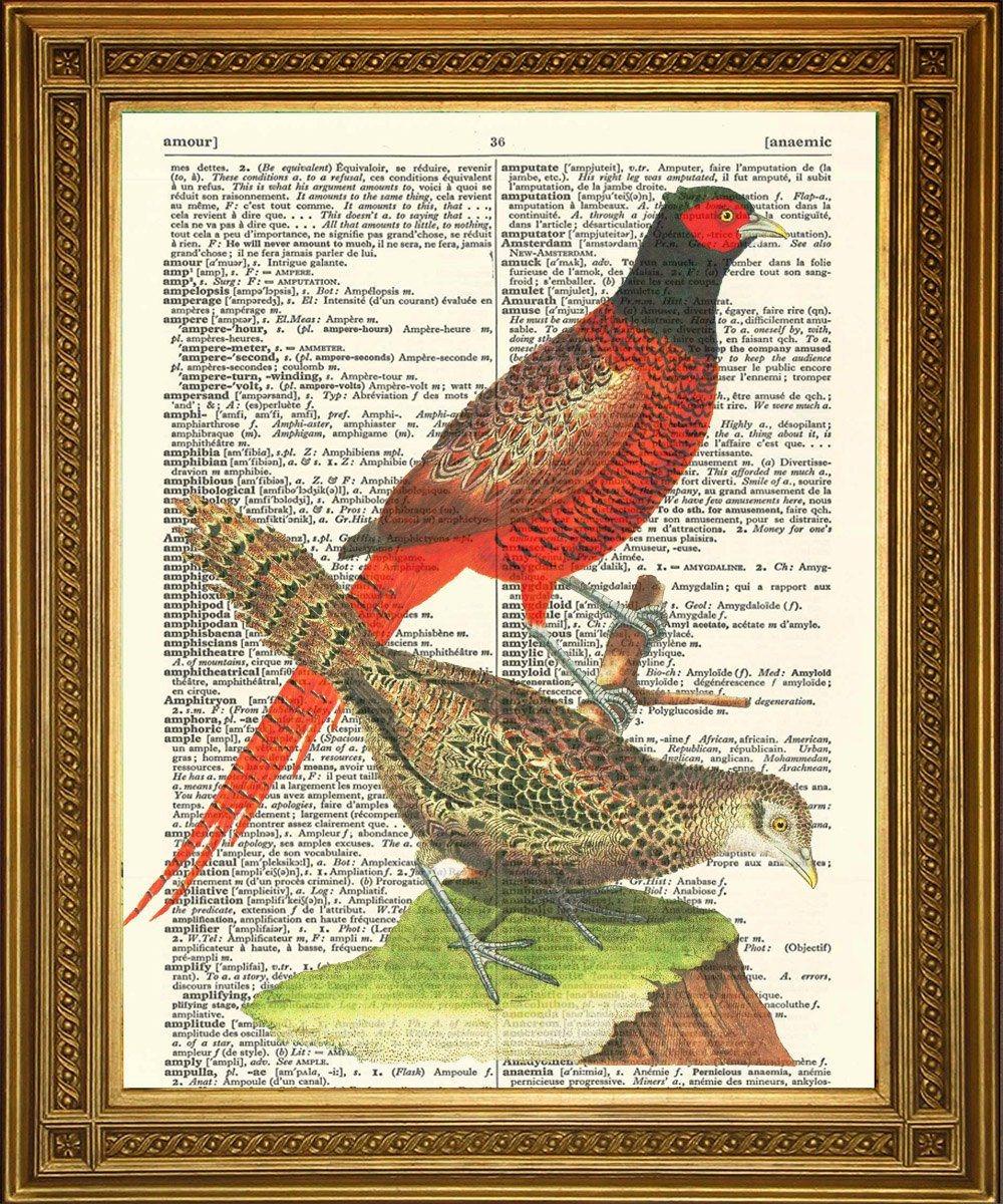 PHEASANTS PRINT: Vintage Dictionary Book Page Bird Art - Pimlico Prints