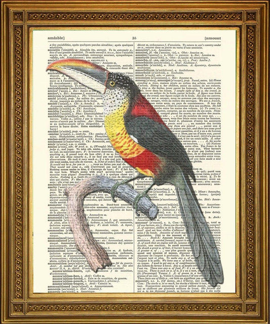 TOUCAN PRINT: Bird Dictionary Page Art - Pimlico Prints