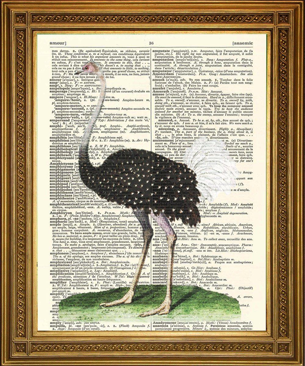 OSTRICH BIRD PRINT: Vintage Dictionary Page Artwork - Pimlico Prints