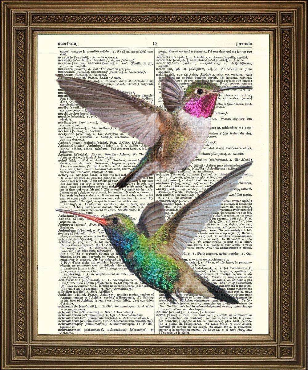 HUMMING BIRDS PRINT: Green & Red Love Heart Birds, Dictionary Art - Pimlico Prints