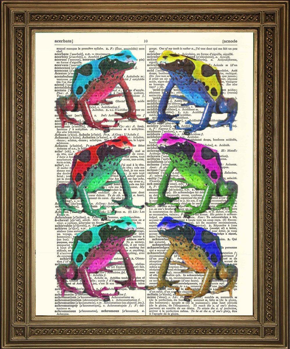 COLOURFUL FROGS: Amphibian Dictionary Print - Pimlico Prints