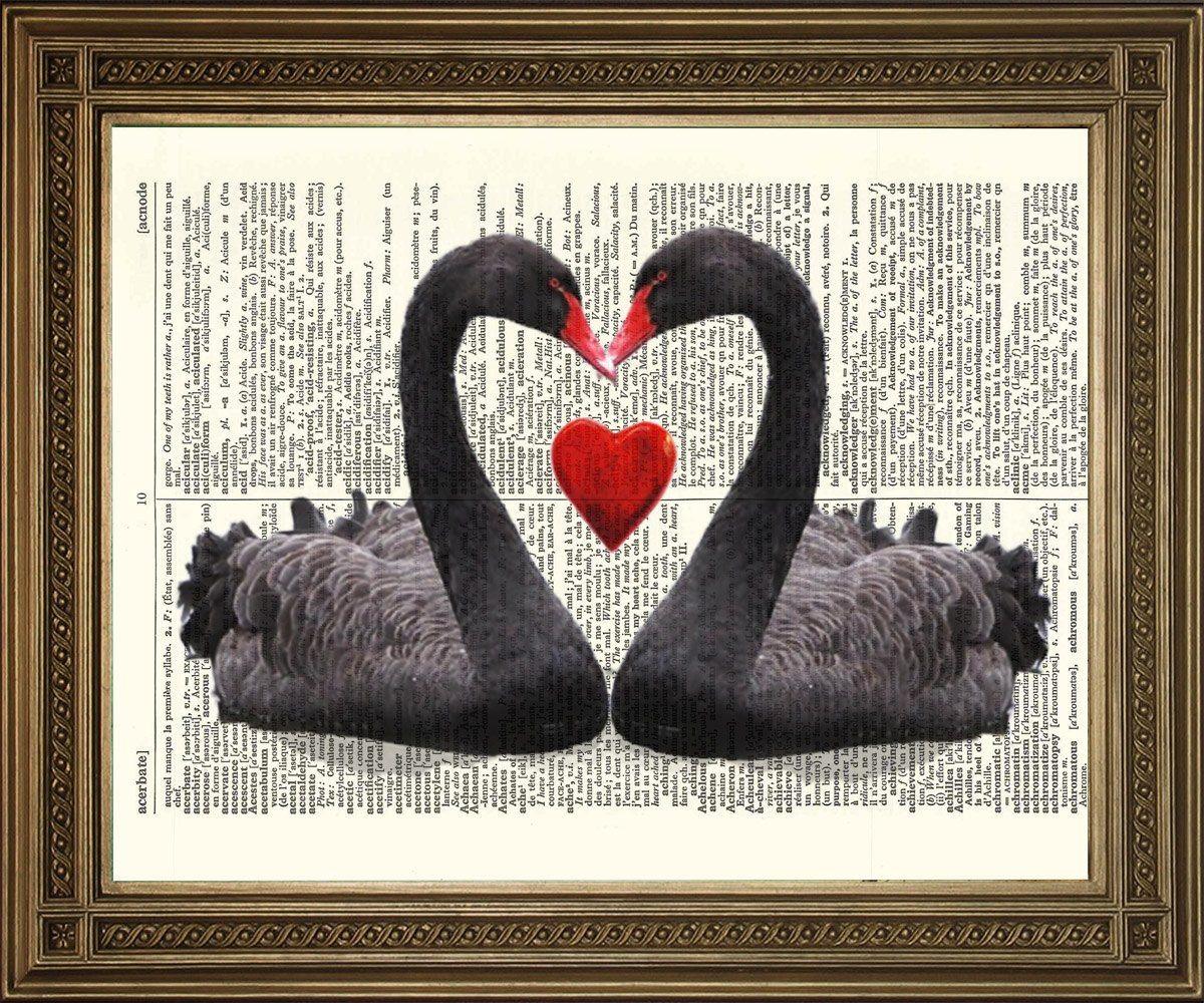 LOVE HEART SWANS: Black Birds Dictionary Art Print - Pimlico Prints