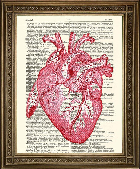 HEART PRINT: Anatomical Dictionary Art Print - Pimlico Prints