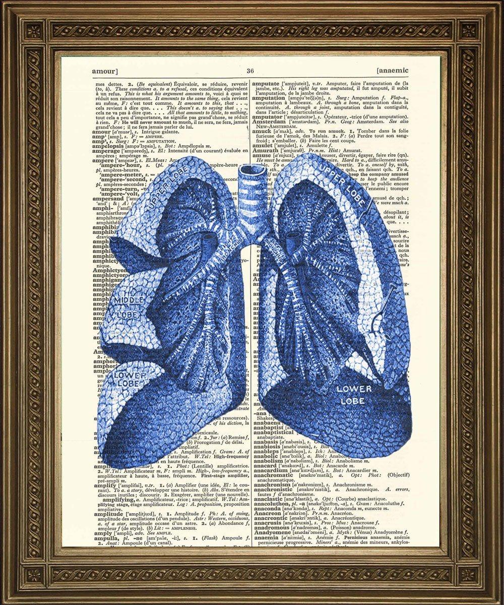 LUNGS ANATOMICAL DRAWING: Vintage Dictionary Art Print - Pimlico Prints