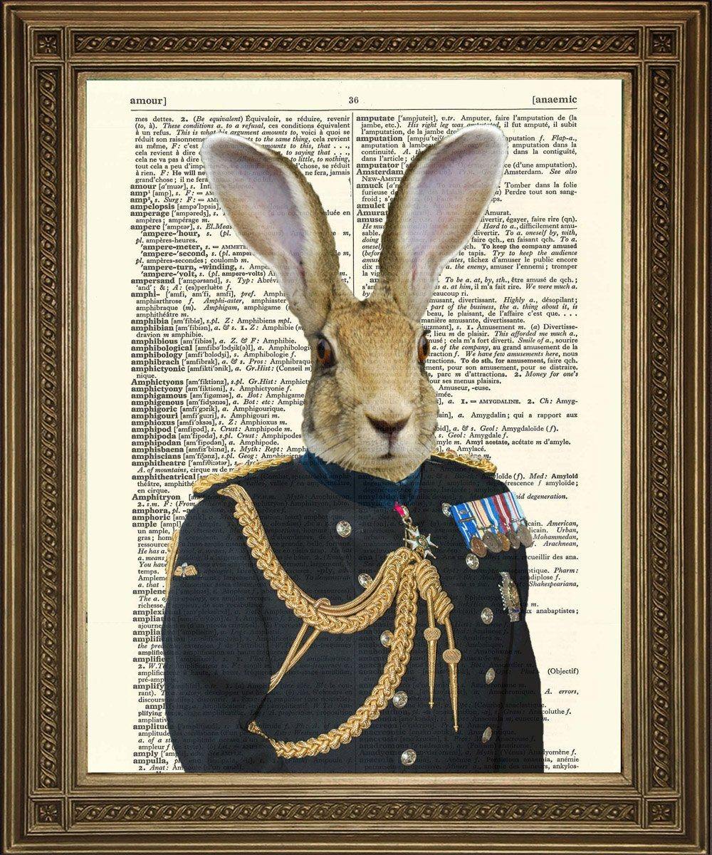 HARE SOLDIER GENERAL: Army Rabbit Dictionary Art Print - Pimlico Prints