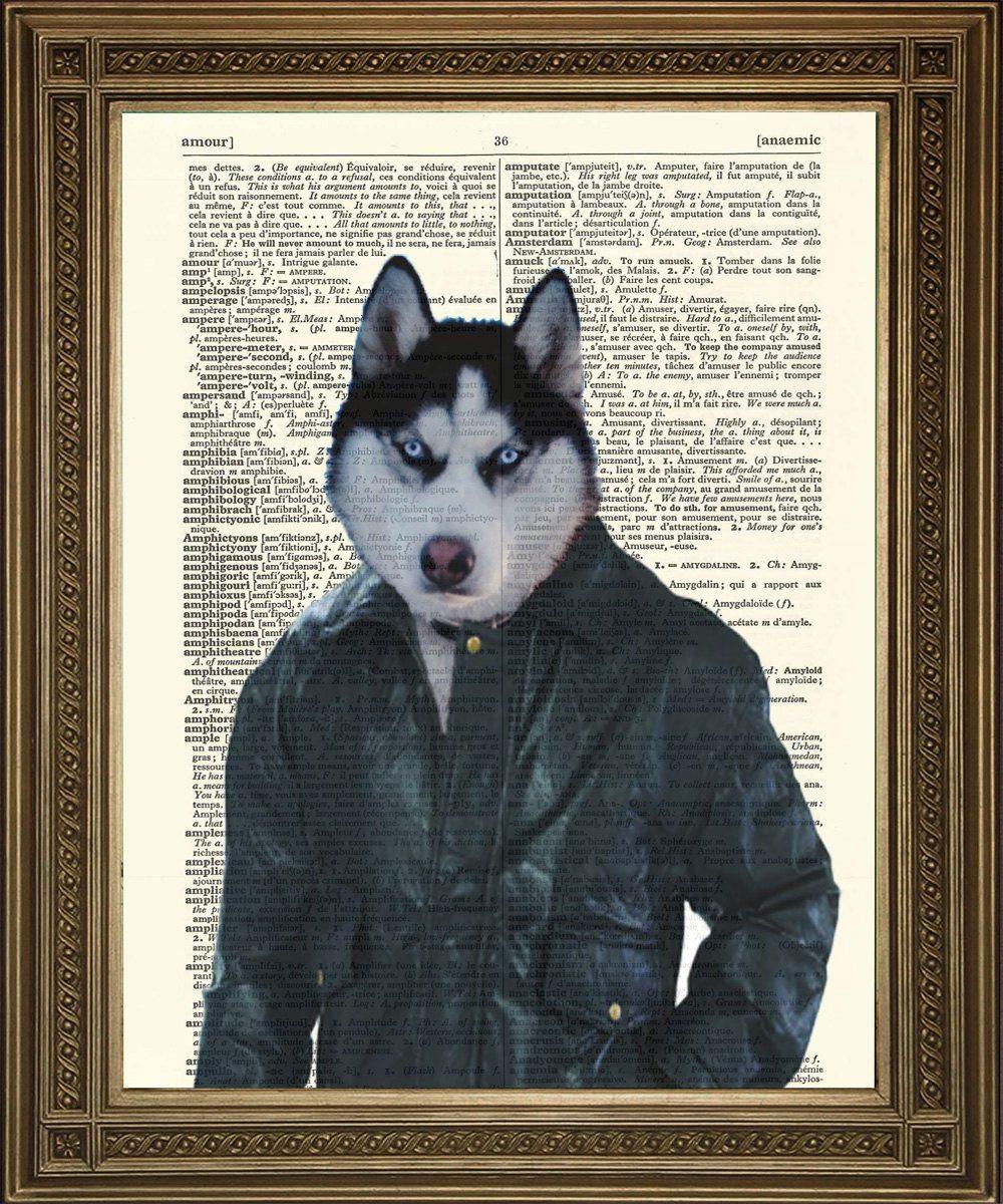 HUSKY DOG PRINT: Animal Dictionary Art - Pimlico Prints