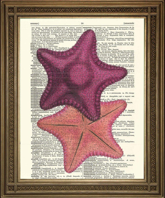 STARFISH PRINT: Vintage Sea Creature Dictionary Art - Pimlico Prints