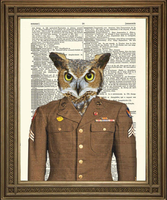 ARMY OWL PRINT: Fun Military Bird Dictionary Art - Pimlico Prints