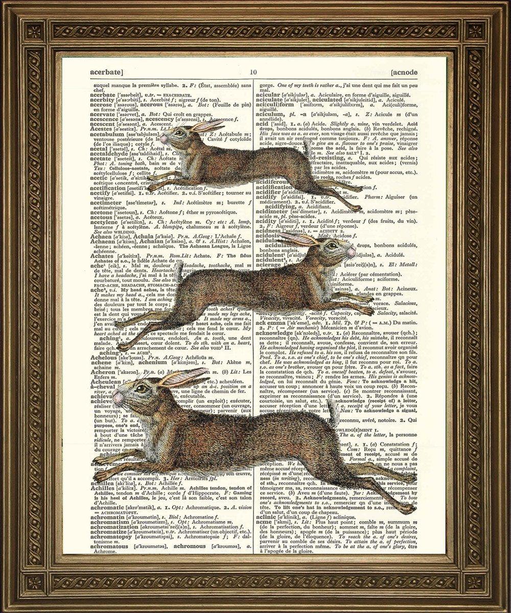 LEAPING HARES PRINT: Countryside Animal Dictionary Art - Pimlico Prints