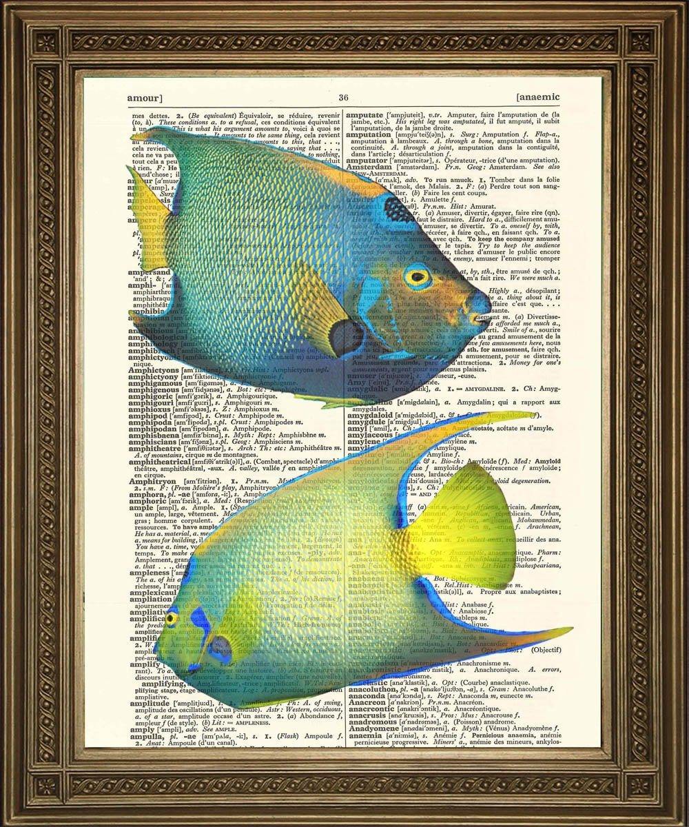 EXOTIC TROPICAL FISH ART: Choice of Fish - Dictionary Prints - Pimlico Prints