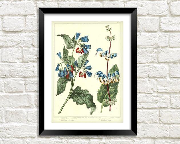BLUEBELLS FLOWER PRINT: Vintage Woodland Art - Pimlico Prints