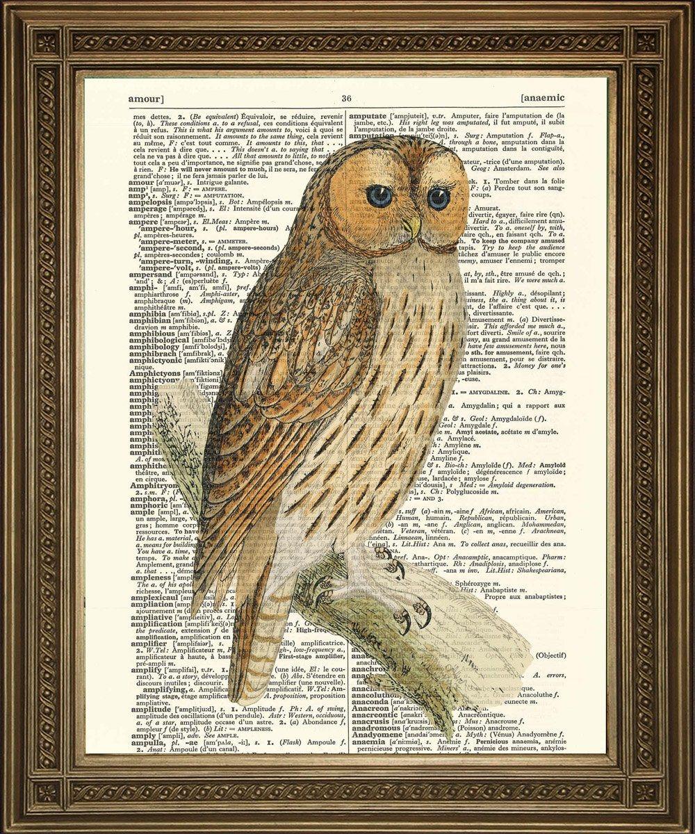 OWL BIRD PRINT: Brown Vintage Dictionary Art - Pimlico Prints