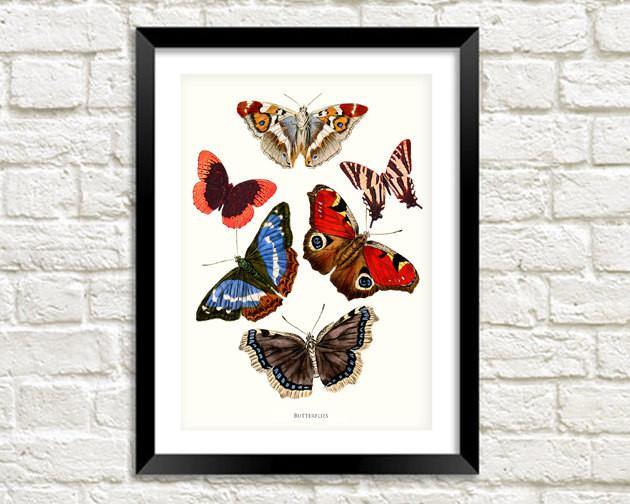 BUTTERFLY ART PRINT: Vintage Garden Butterflies - Pimlico Prints