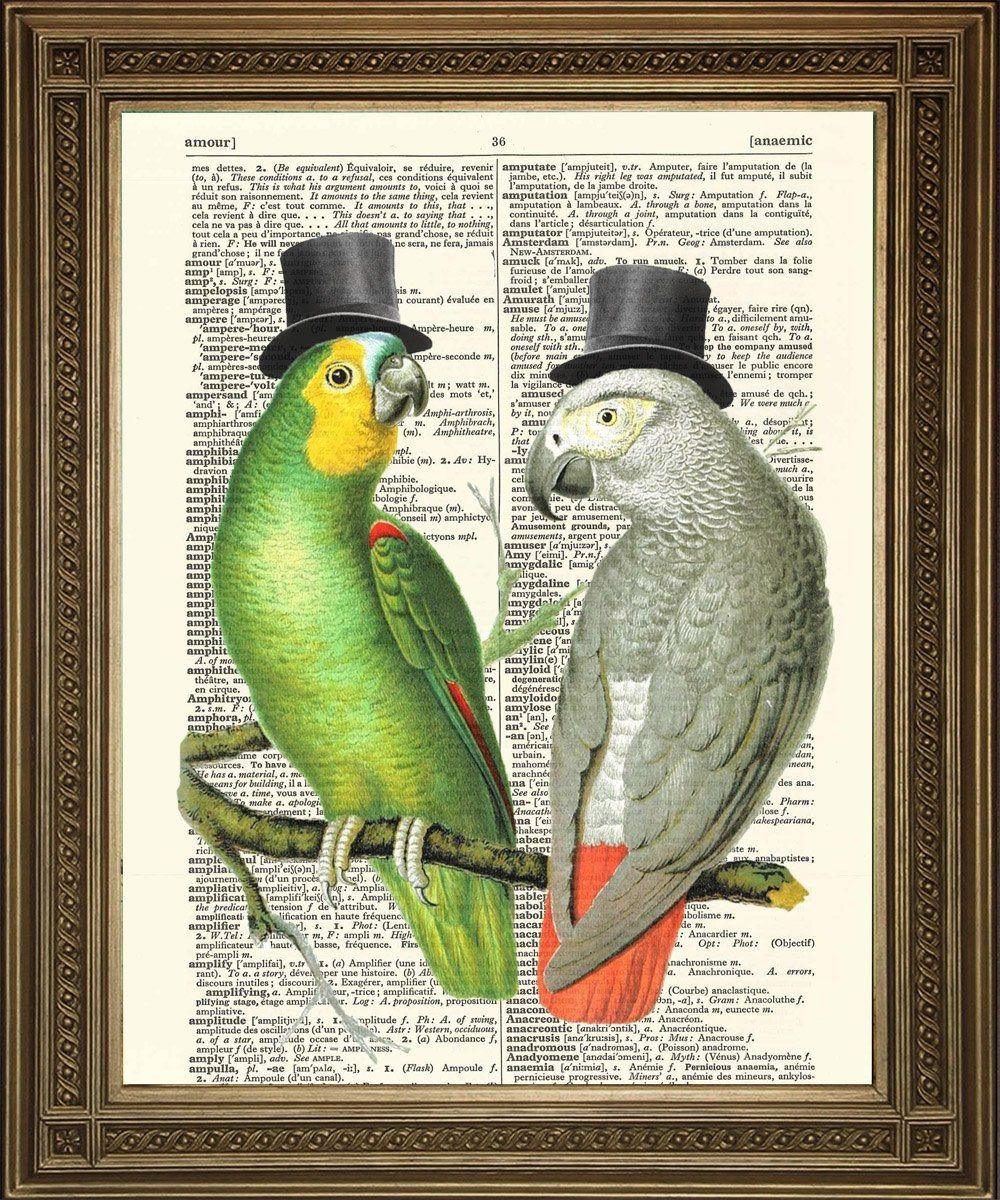 PARROT PRINT: Dictionary Art Bird Illustration - Pimlico Prints