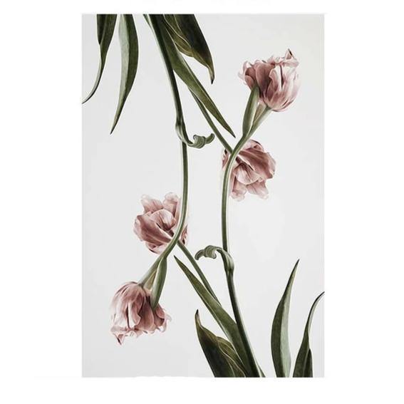 PINK FLOWER PRINTS: Minimalist Scandi-style Blush Floral Canvas Art - Pimlico Prints