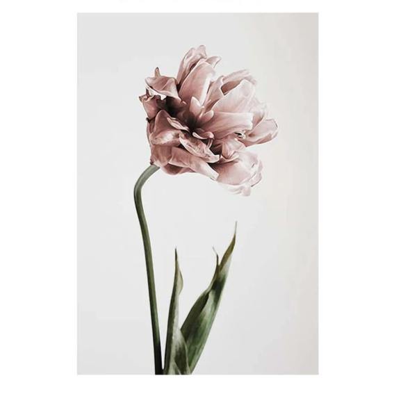 PINK FLOWER PRINTS: Minimalist Scandi-style Blush Floral Canvas Art - Pimlico Prints